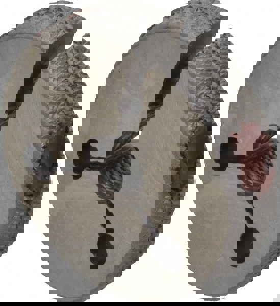 Threaded Ring Gage: 5/16-24 Thread, UNF, Class 2A, No Go